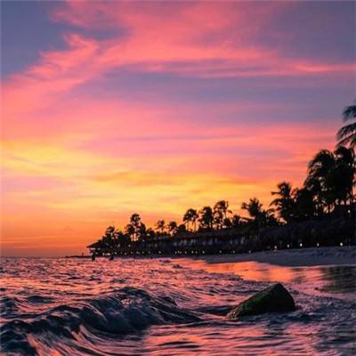 华体育手机app下载