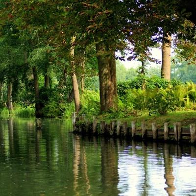 leyu·乐鱼体育手机app下载