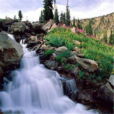 ayx爱游戏全站手机app下载