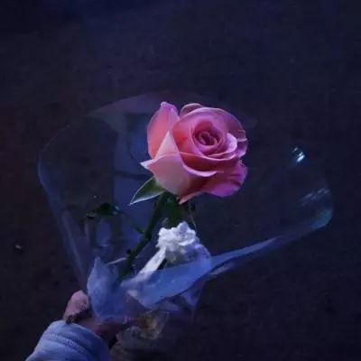 宝博游戏app下载