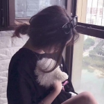 可以试玩cq9电子的网页game